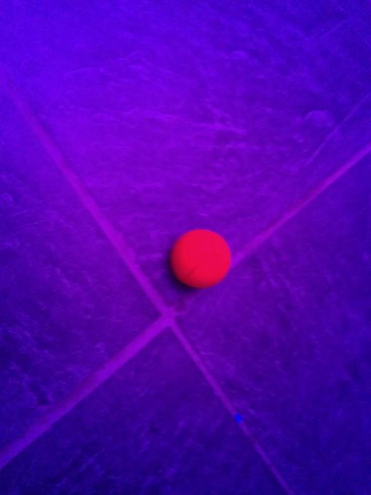 kölsche pappnas auf dem dancefloor stillleben